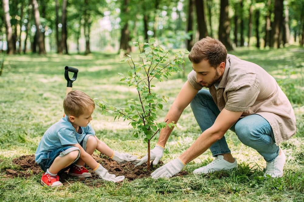 Plant A Tree Or Garden In Your Father's Memory For Father's Day In Heaven