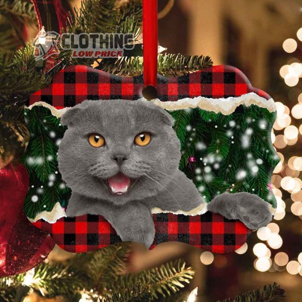 Personalized Cat Lover Kitty Christmas Ornament Merry Christmas Ornament