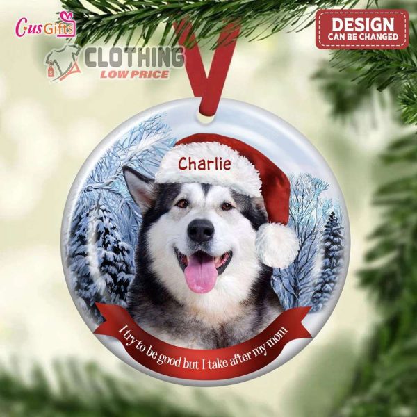 Personalized Pets Photo Ornament Dear Santa Define Naughty Christmas Ornament