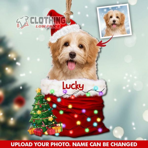 Personalized Upload Photo Dog Christmas Santa Acrylic Ornament Happy Christmas Ornament