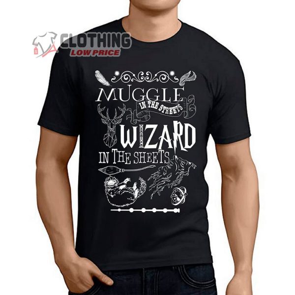 Muggle In The Streets Merch Wizard In The Streets Shirt Harry Potter Movie Film T Shirt