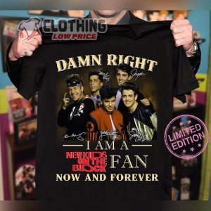 Damn Right I Am A New Kids On The Block Shirt, New Kids On The Block Hits Merch, New Kids On The Block Tour T- Shirt