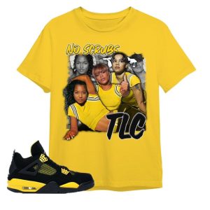 TLC Tour Dates 2023 T- Shirt, Jordan 4 Thunder Unisex Color T- Shirt, TLC T- Shirt, TLC Tour 2023 Merch