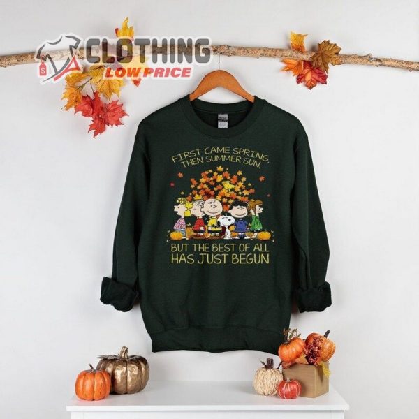 Charlie Brown And Friends Sweater, Charlie Brown Halloween Sweater, Peanuts Snoopy Costume Snoopy Shirt