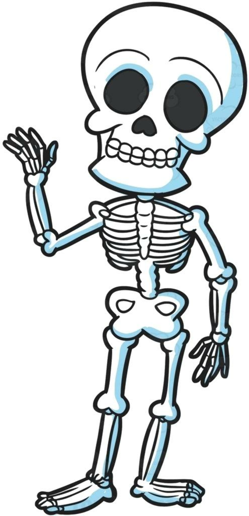 Discover Top 35 Skeleton Shirts - Spooktacular Skeleton T-Shirt Ideas