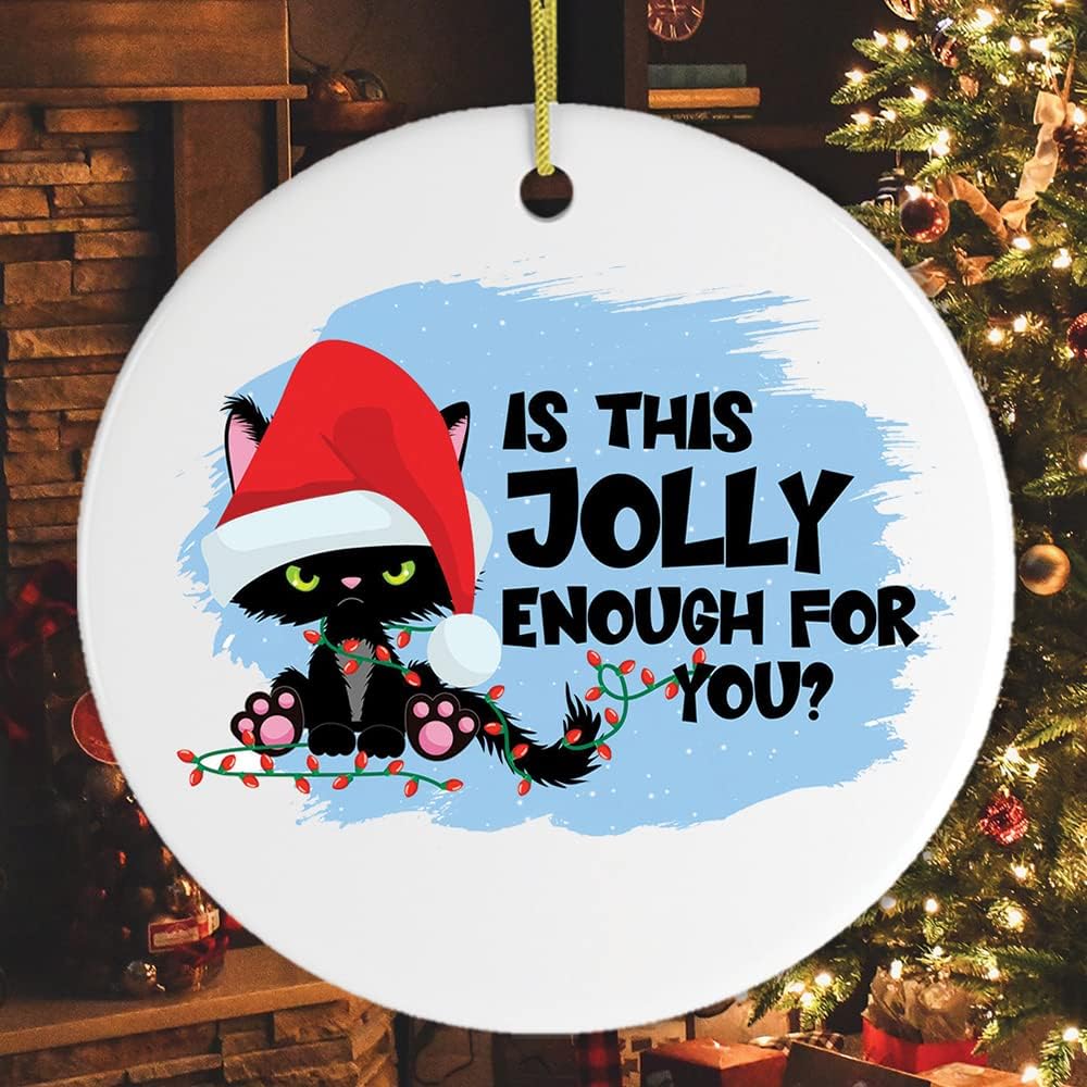 Animal Themed Christmas Ornaments Funny Black Cat Cranky Christmas Humor Ornament amazon