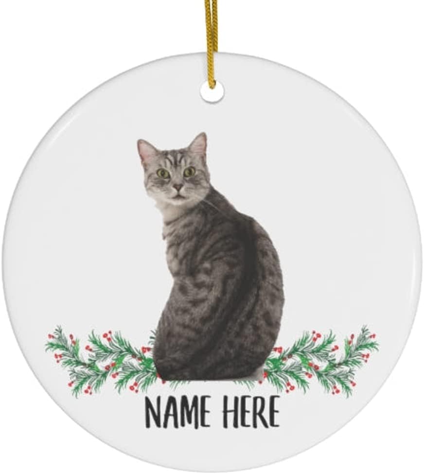 Funny Personalized Name Manx Cat Grey Tabby Gifts 2023 Christmas Tree Ornaments amazon