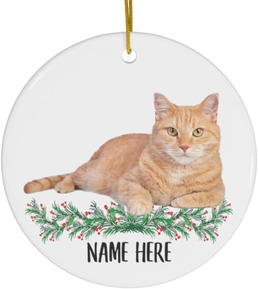 Funny Personalized Name Tabby Cat Orange Gifts 2023 Christmas Tree Ornaments amazon