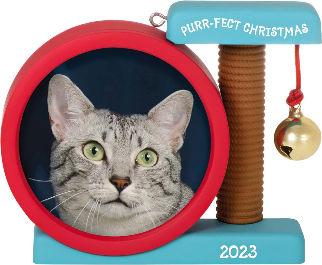 Hallmark Keepsake Christmas Ornament 2023 Cat Picture Gifts amazon