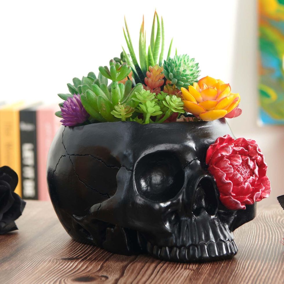 KIKTOP Skull Planter amazon