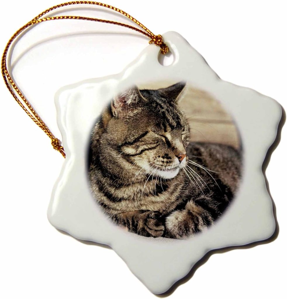 Capitol Reef Sleeping Tabby Cat Ric Ergenbright Snowflake Tabby Cat Ornament
