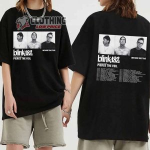 Blink 182 Shirt, Vintage Band Tee, Blink 182 Concert Tshirt, Blink Music Shirt